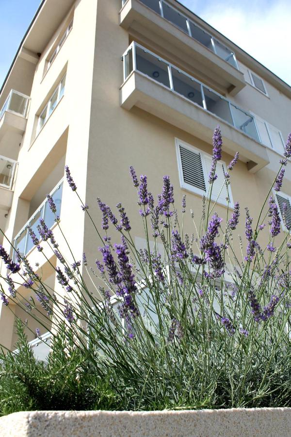 Apartments Lavanda - B&B
