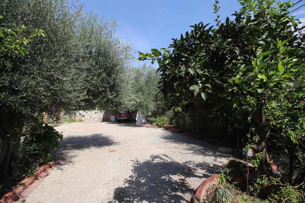 Mato Rooms - B&B Himarë