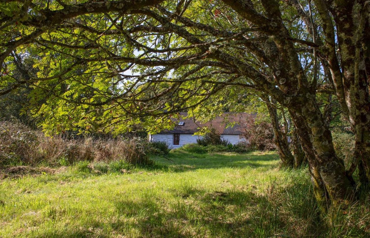 Half of 12 Camustianavaig - B&B