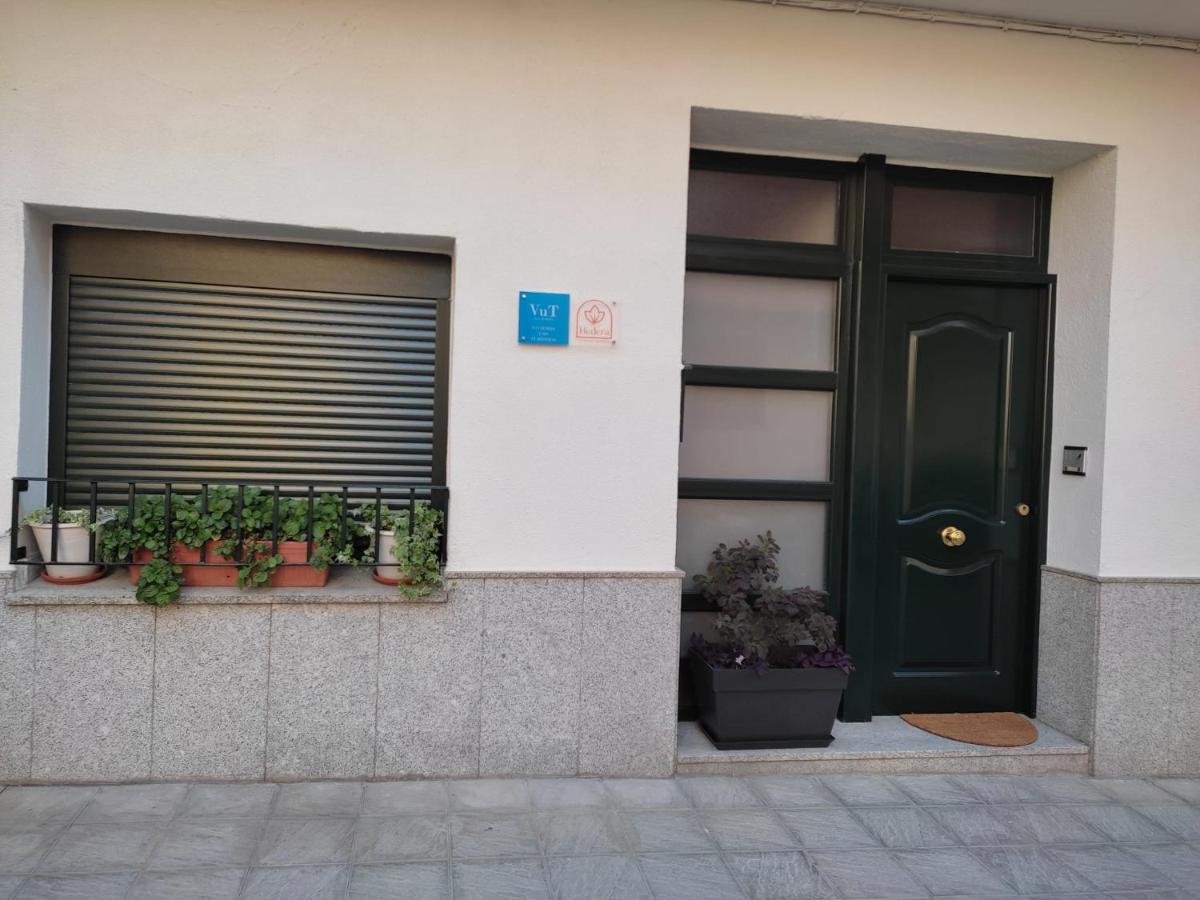 Hedera - B&B Candeleda