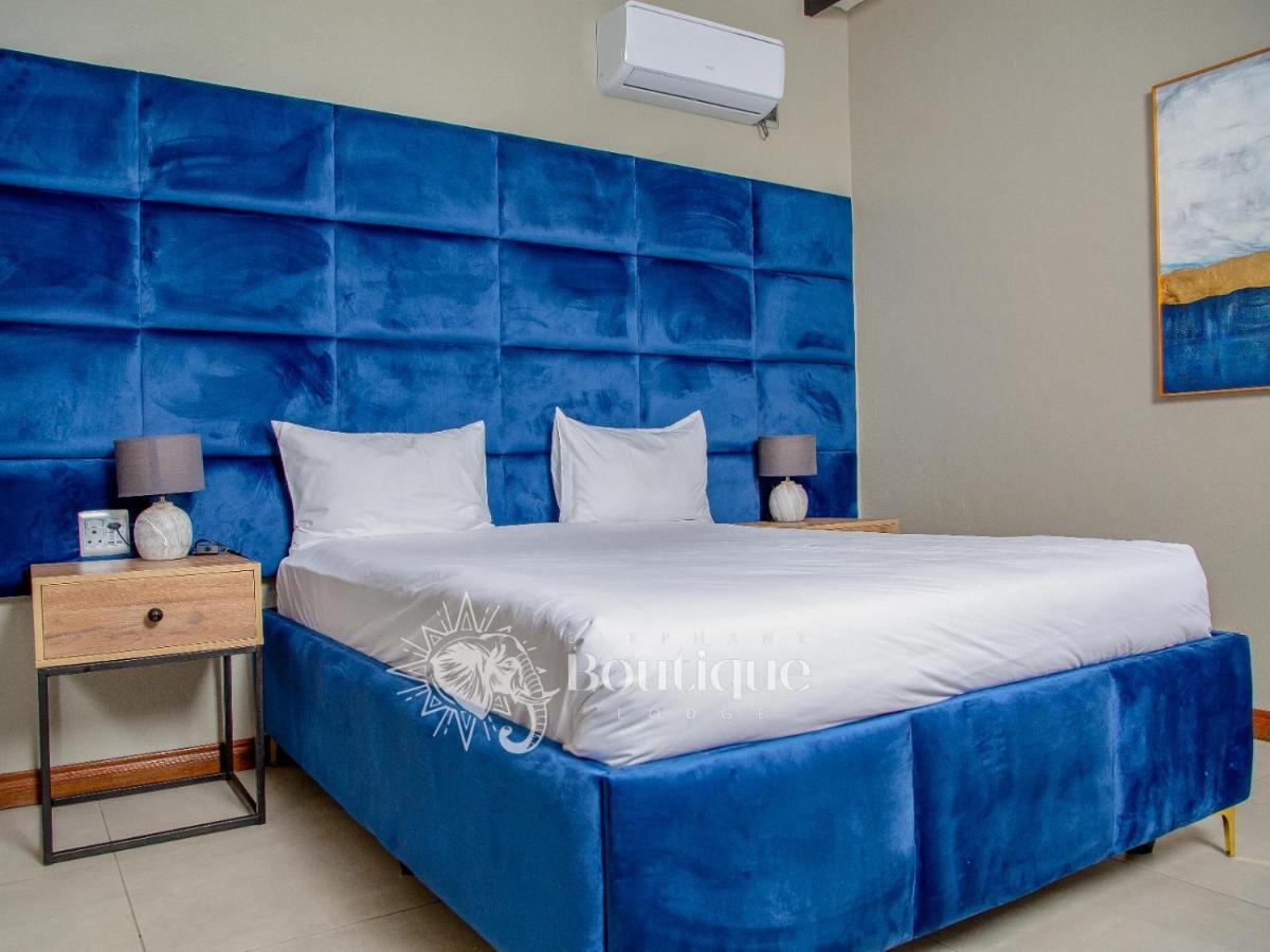 Camera King Standard