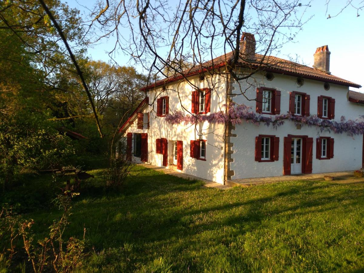 B&B Saint-Martin-de-Hinx - Chambres Maison Labourdasse - Bed and Breakfast Saint-Martin-de-Hinx