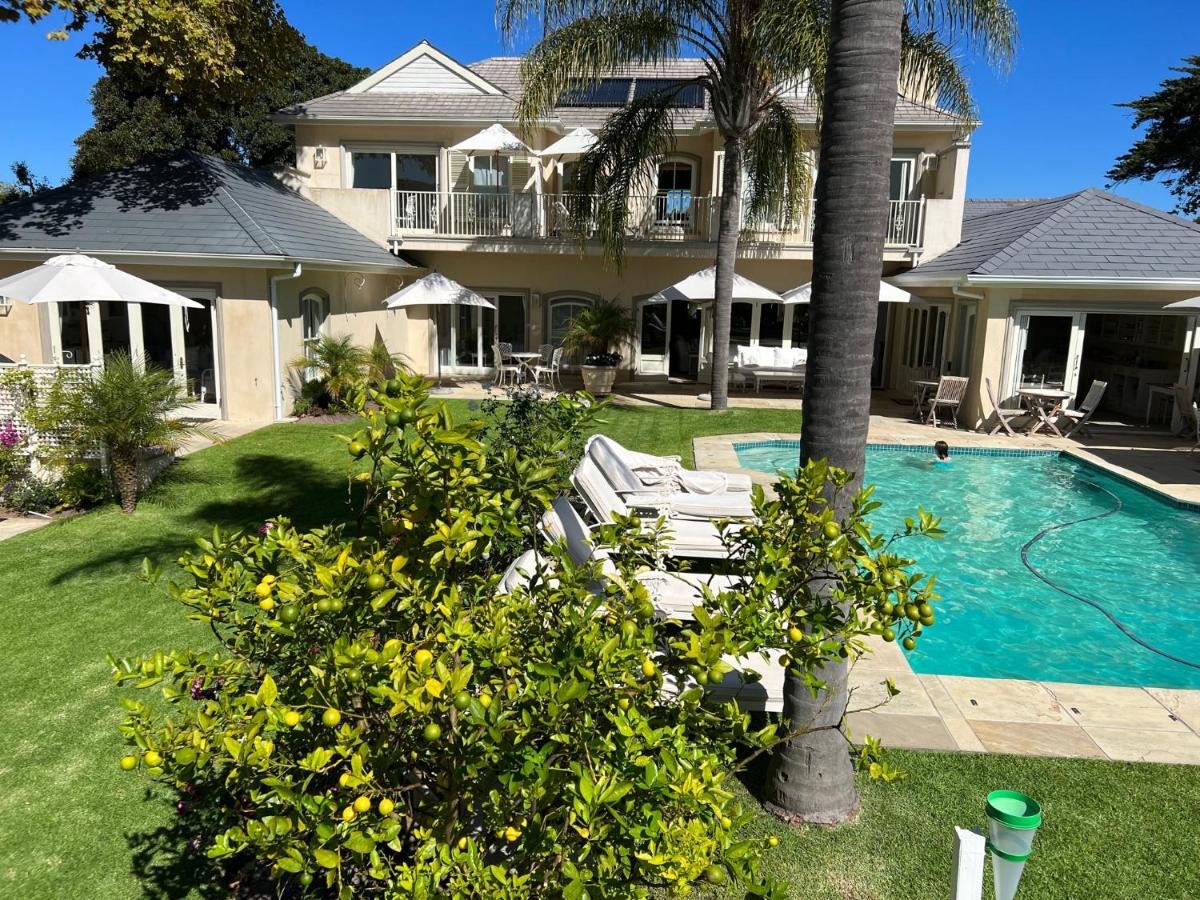 B&B Cape Town - Constantia Valley Lodge - Bed and Breakfast Cape Town