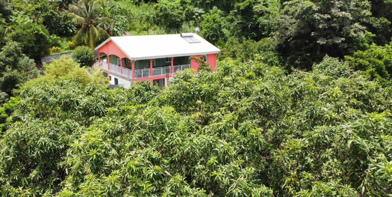 Le planteur - B&B