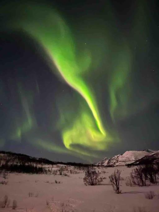 Aurora Borealis - B&B