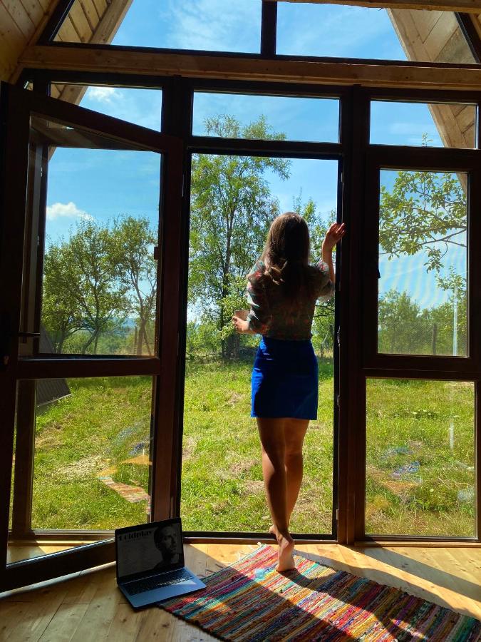 Horezu Cozy Cabin - Bed and Breakfast