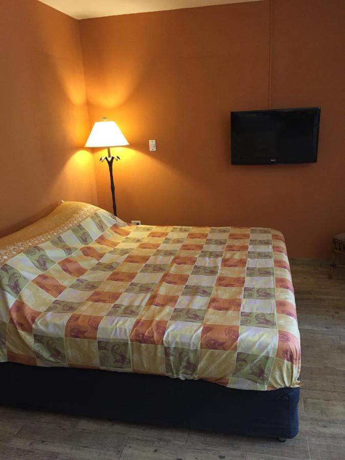 Studio Lit King-Size Deluxe