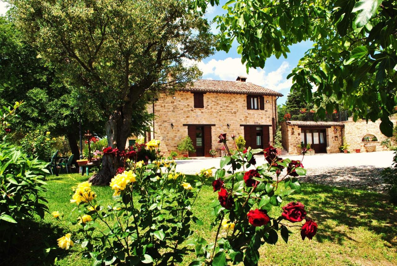 Agriturismo L'Antico Oliveto - Ferienwohnung