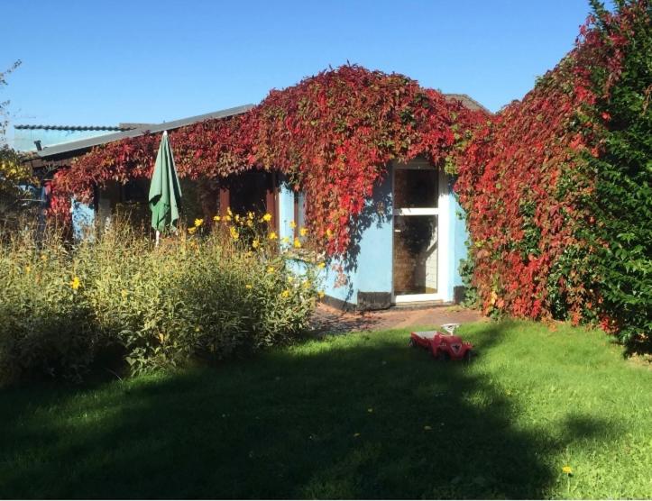 Blaues Haus Neu Reddevitz - Ferienwohnung Lancken-Granitz