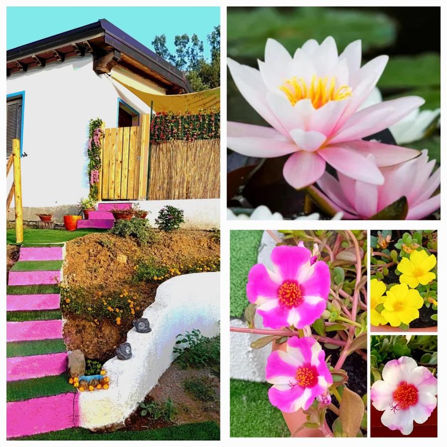 La Conchiglietta blu - Bed and Breakfast