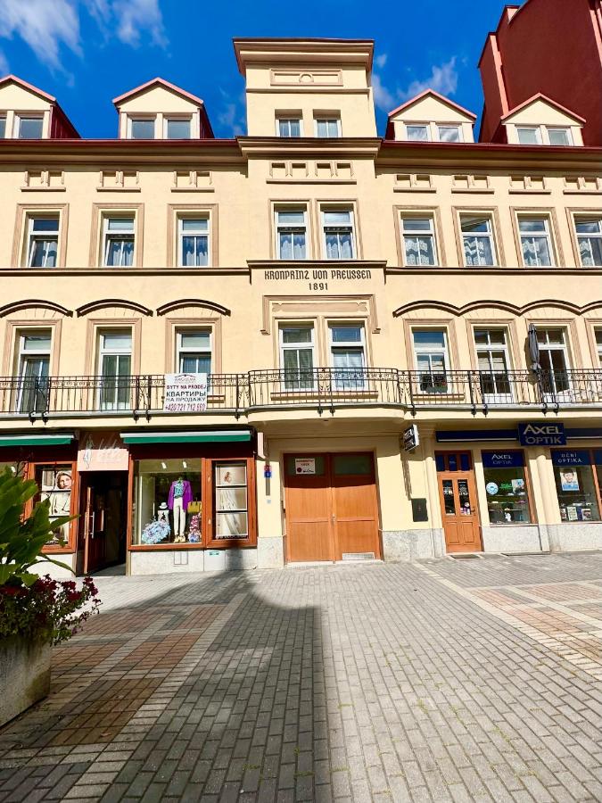 B&B Karlovy Vary - Apartment Erika - Bed and Breakfast Karlovy Vary