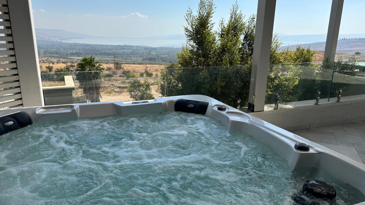 B&B H̱ad Nes - ציפור הכנרת - Sea of Galilee bird - Bed and Breakfast H̱ad Nes