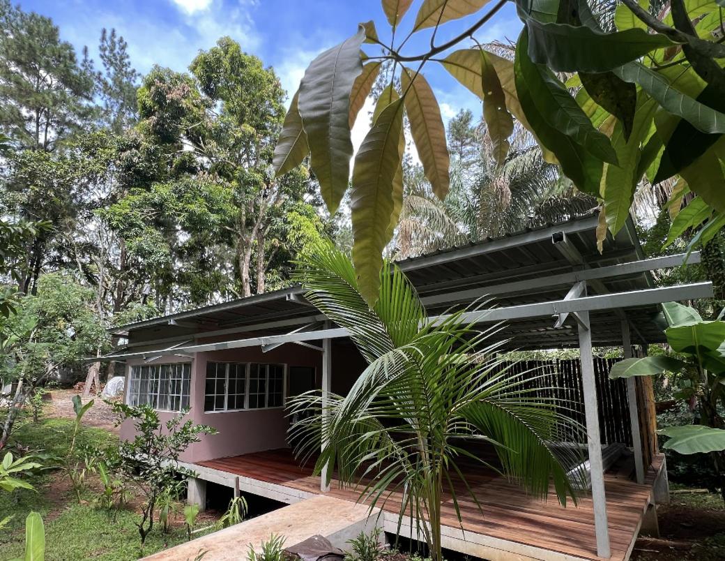 Deluxe Bungalow mit Gartenblick