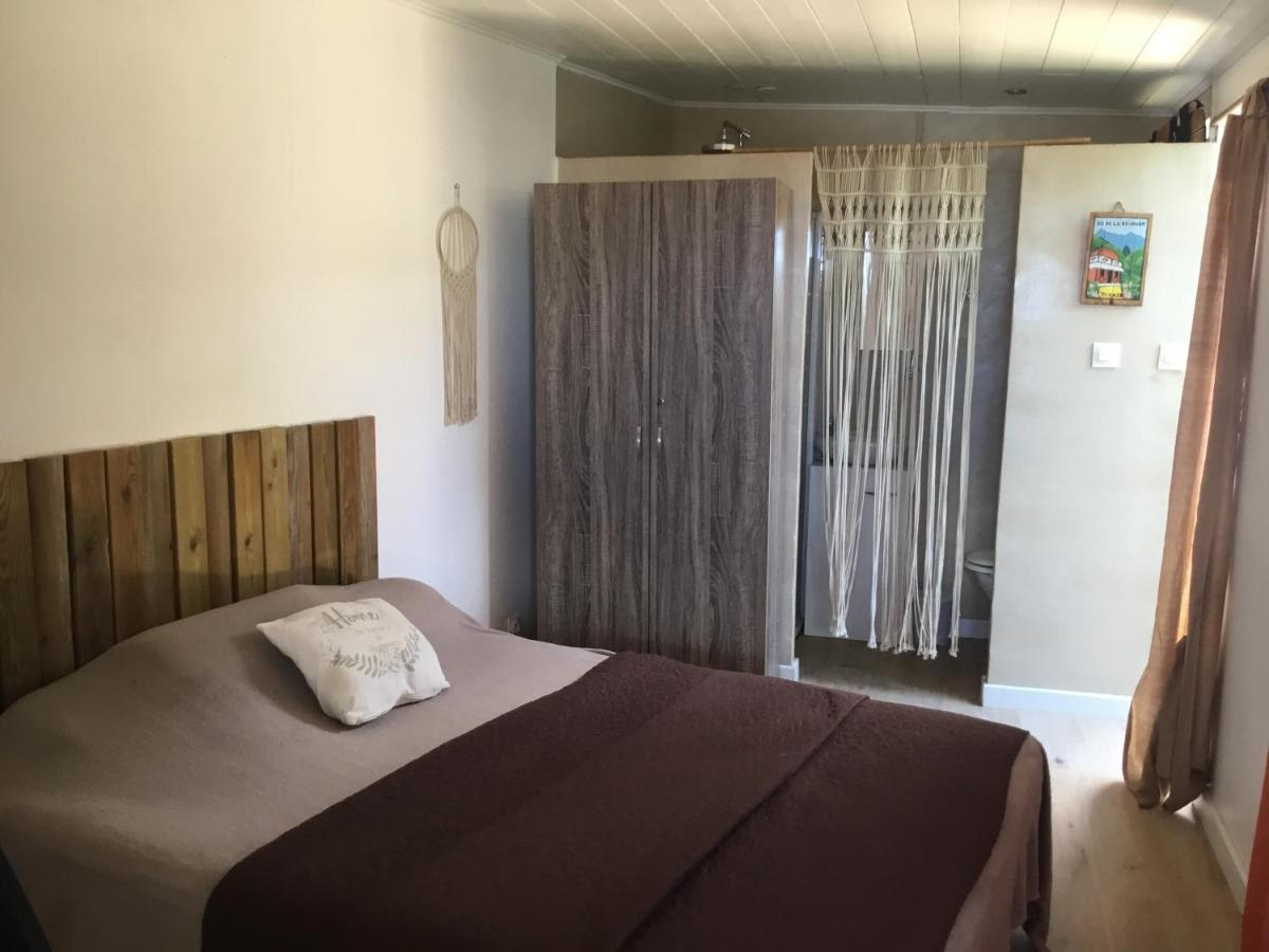 Single Room with Garden View