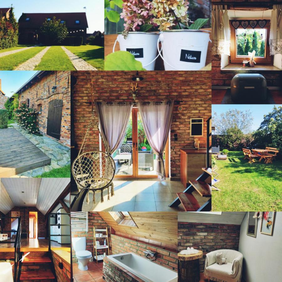 Dom Gościnny Magiczna Stodółka - Bed and Breakfast