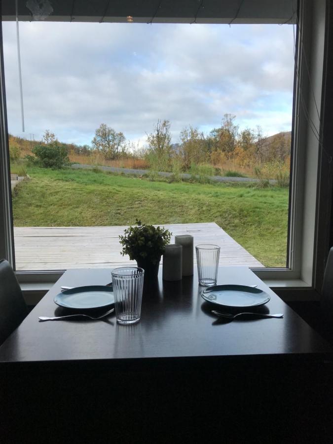 Aurora Borealis - Chambres d’hôtes Tromsø