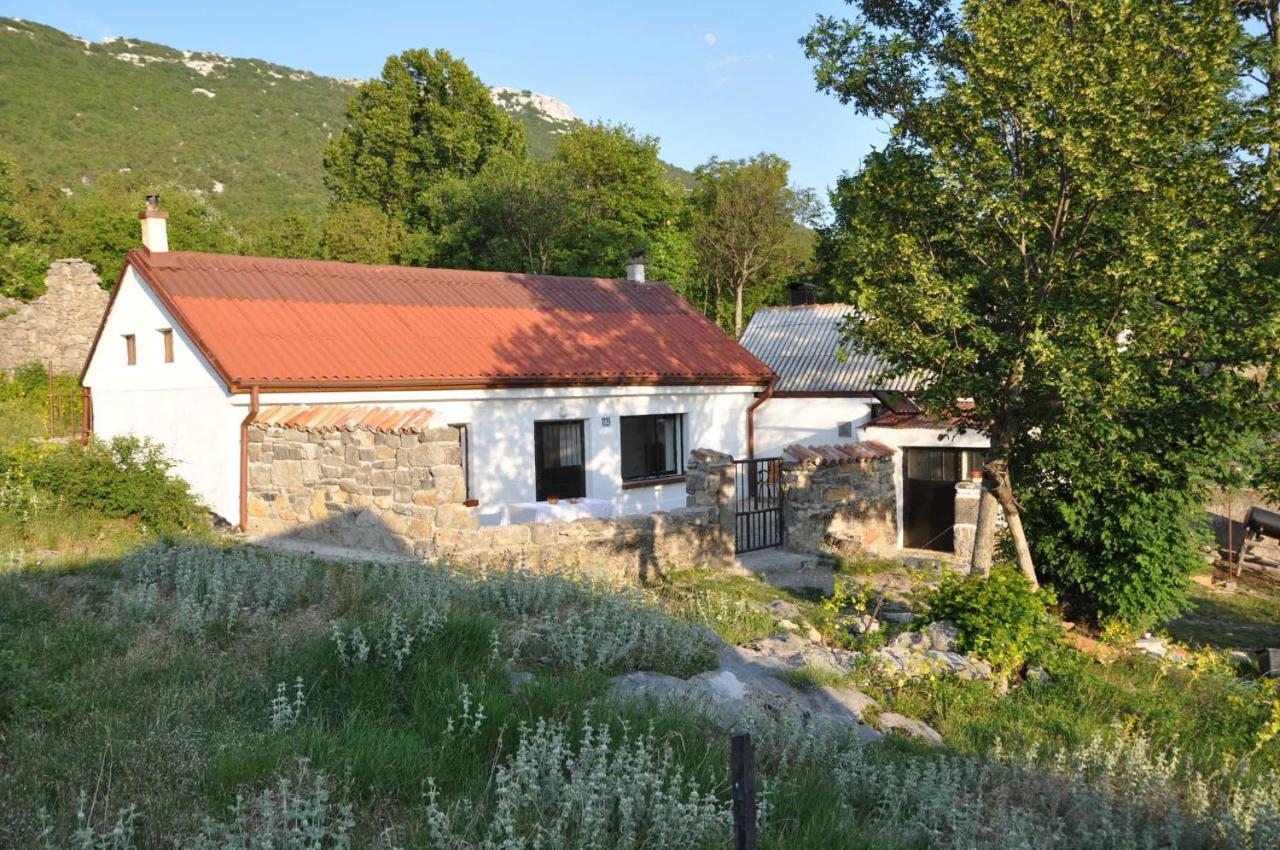 B&B Starčevića Podi - Mountain Cottage Mons Baebius - Bed and Breakfast Starčevića Podi