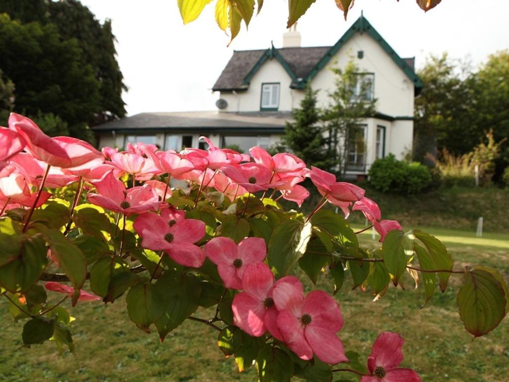 Robin Hill House Heritage Guest House - B&B Cobh