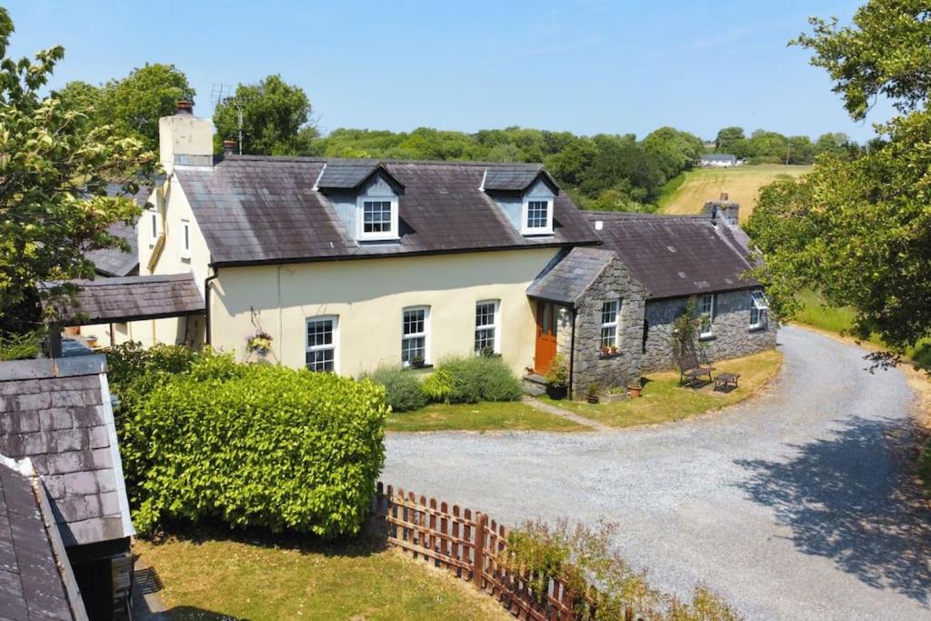 Buttercup - B&B