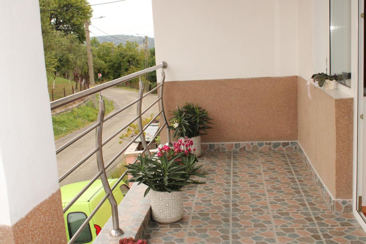 Casa Dănuț - B&B