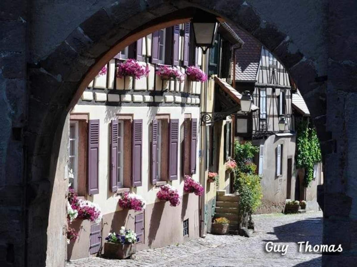 Maison à Colombages au Cœur du Vignoble Alsacien avec Parking et Chauffage Inclus - FR-1-744-23 - B&B