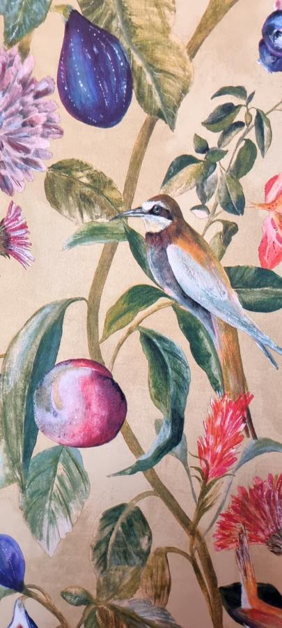 Chambre Double Deluxe avec Douche