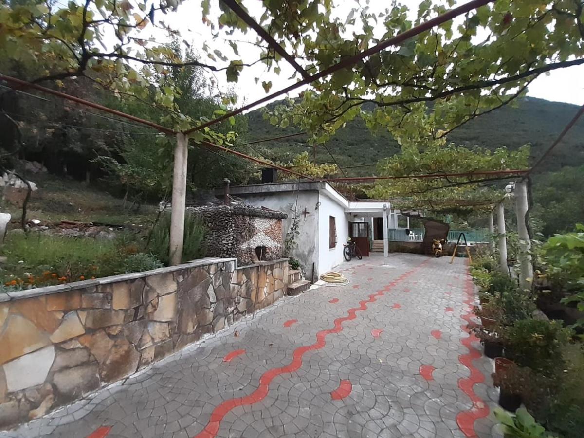 Apartament Dukat Albania - B&B