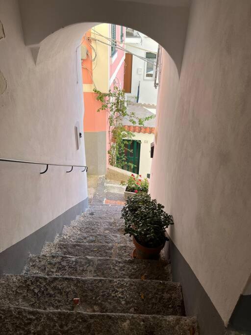 Albori bilocale panoramico - Ferienwohnung