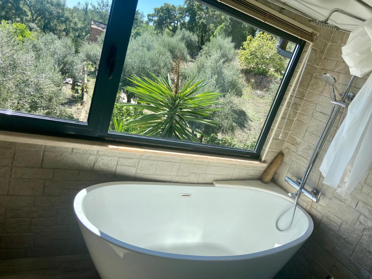 Single Room with Bath