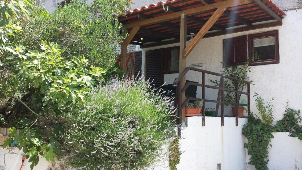 Drescher Apartments - B&B