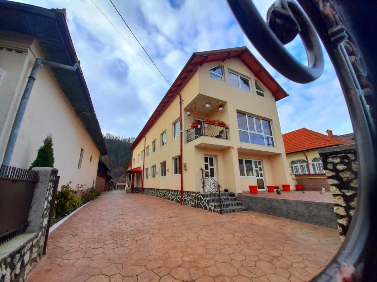 B&B Voinești - Reședința Nițoiu - Bed and Breakfast Voinești