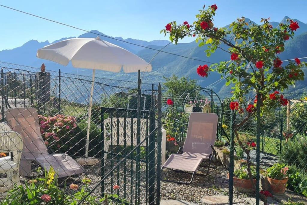 Le petit coin de Lea - B&B