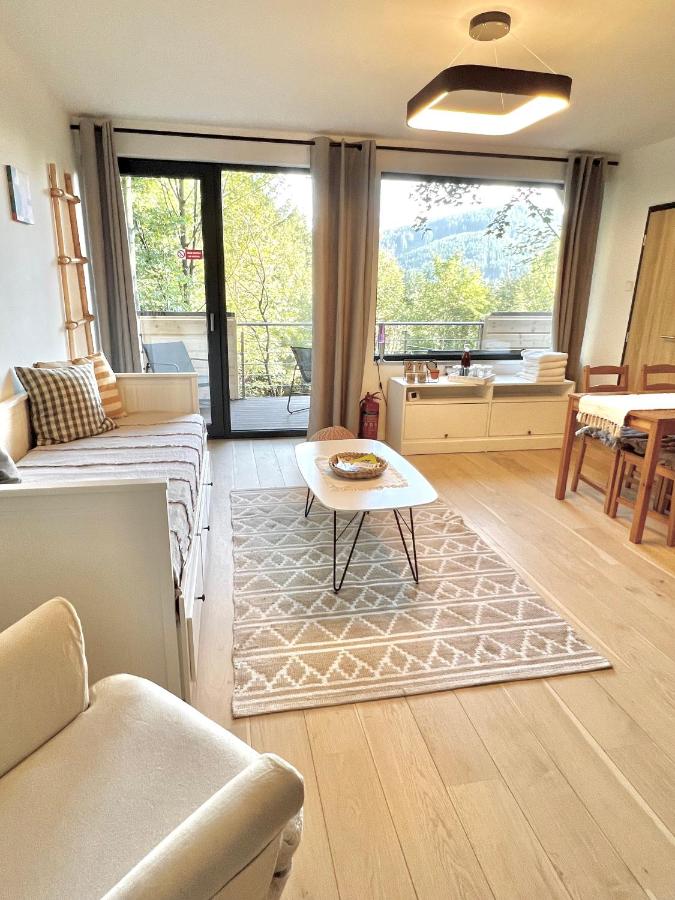 Chatka pod Lysou - Ferienwohnung Ostravice