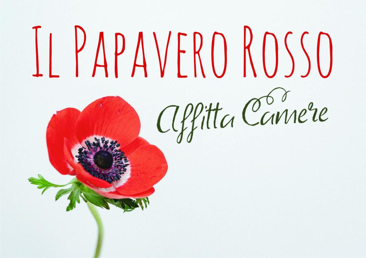 Il papavero rosso - B&B Navelli