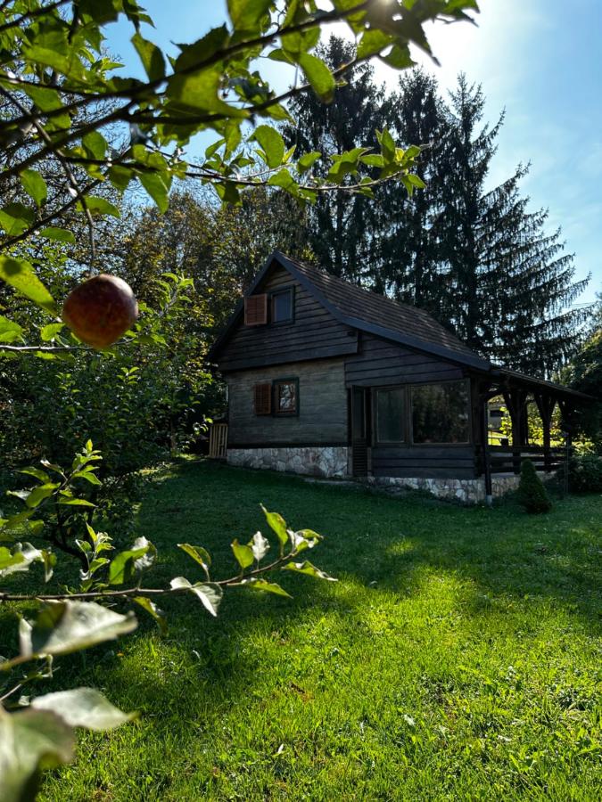 Kuća za odmor Zora - B&B
