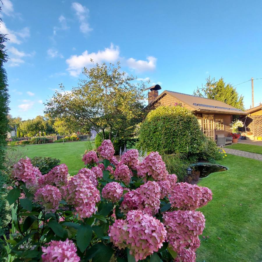 Apartamenti Dundaga XXL - B&B Dundaga