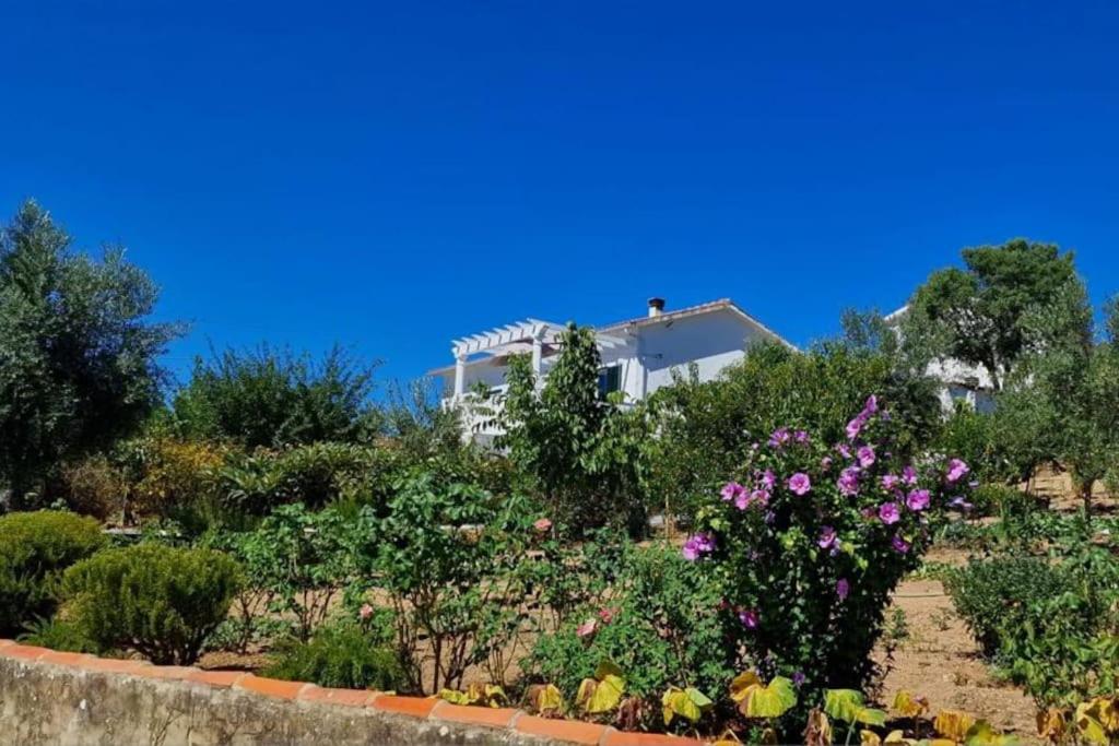 Refugio Abrunheiro Grande - Chambres d’hôtes Vila de Rei