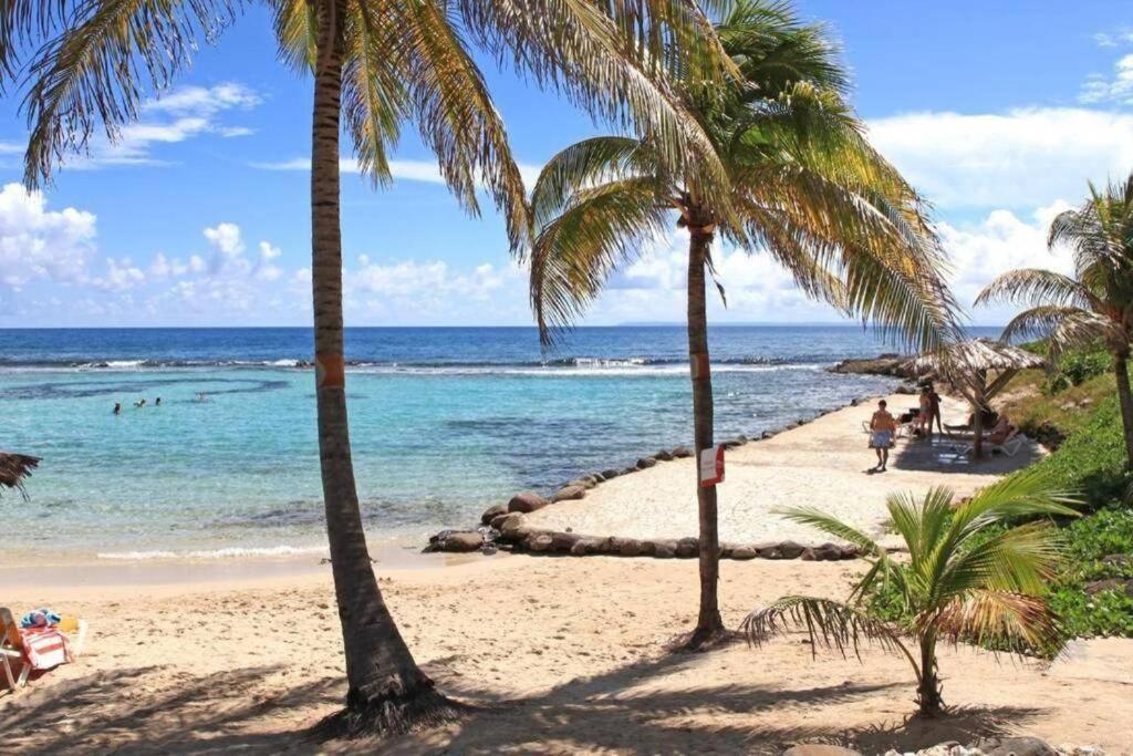 Studio Iguanao Maganao Les pieds dans l eau - B&B
