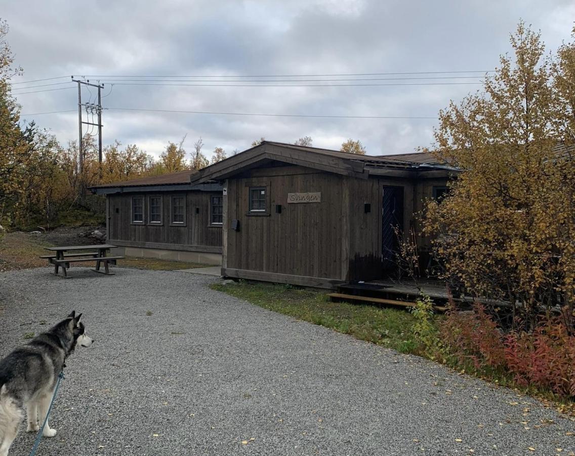 New mountain lodge - Geilo-Kikut - Great location - Bed and Breakfast Geilo