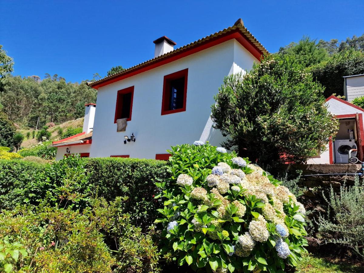 B&B Camacha - One bedroom villa with furnished garden and wifi at Camacha - Bed and Breakfast Camacha