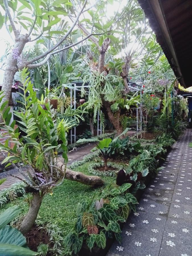 B&B Kerobokan - Buratwangi Tropis House - Bed and Breakfast Kerobokan