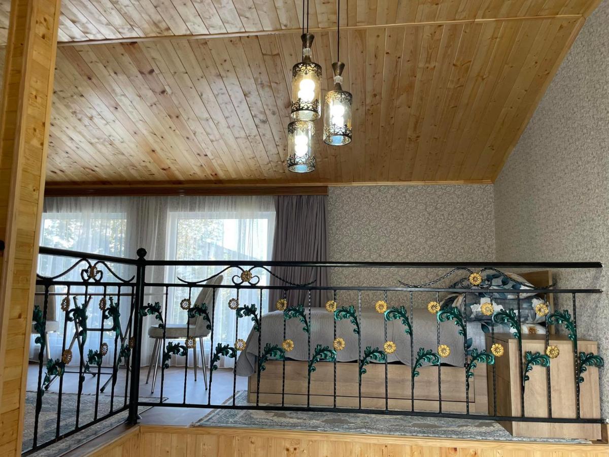 APARTMENT IRINA - Bed and Breakfast Tsqaltubo