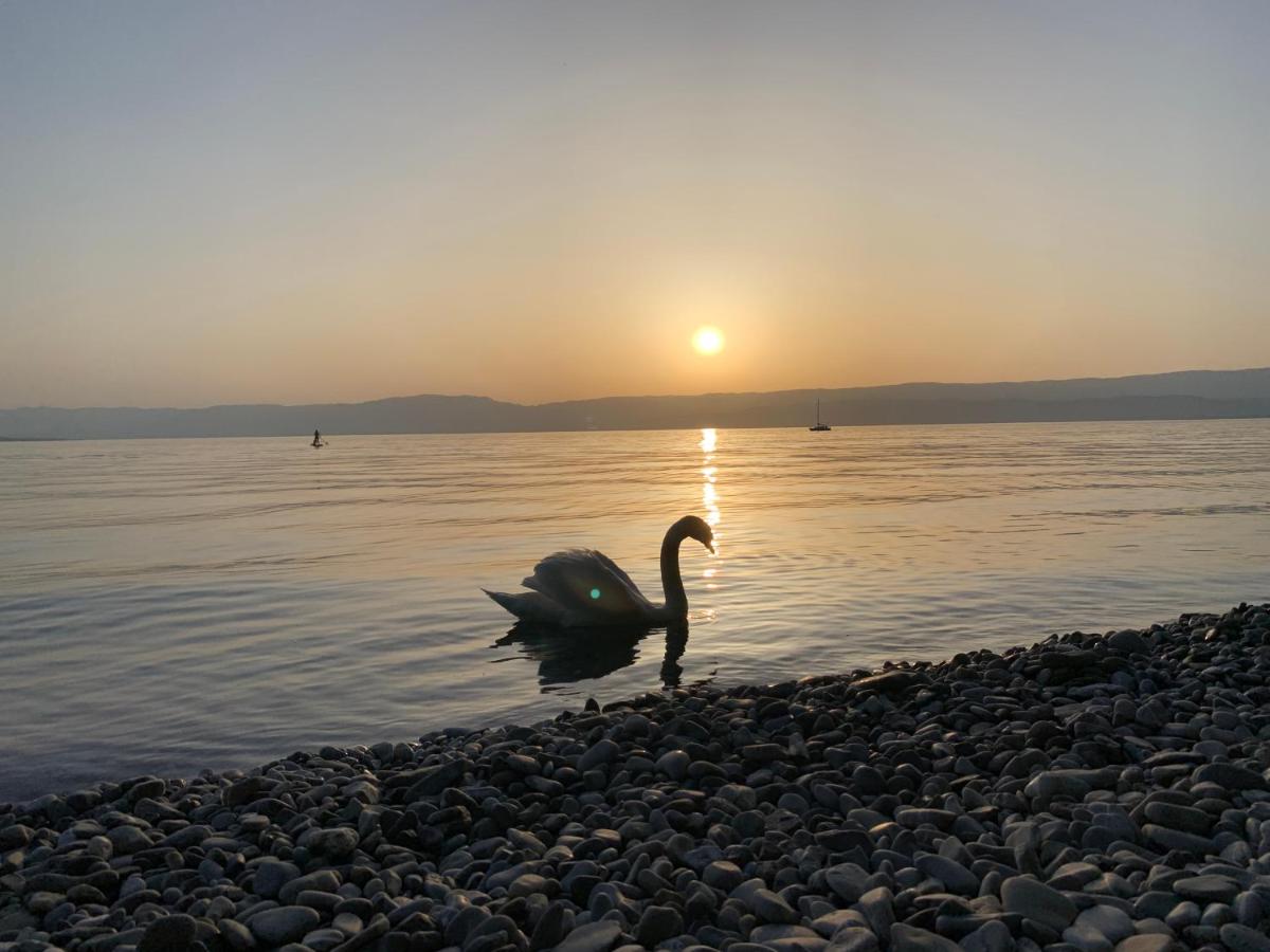 Chez Mat - Ferienwohnung Thonon-les-Bains