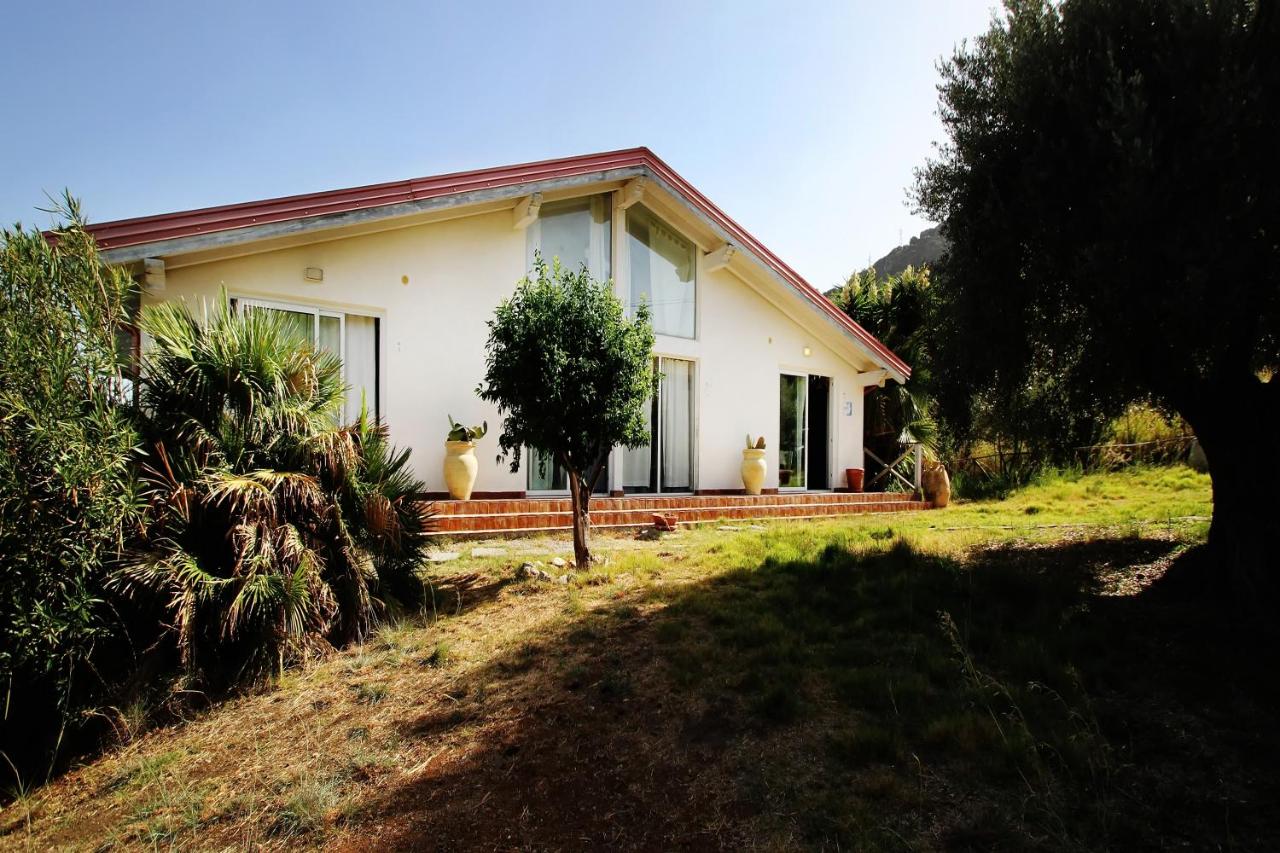 La Gabbianella E Il Gatto - B&B