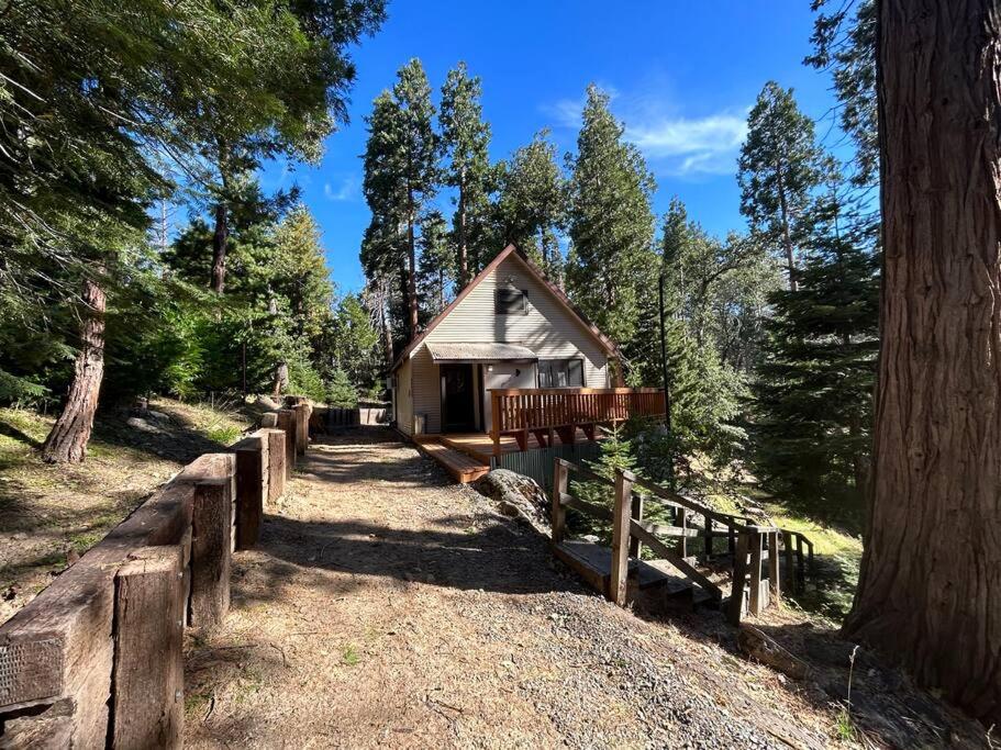 Sequoia National Forest CabinD - B&B