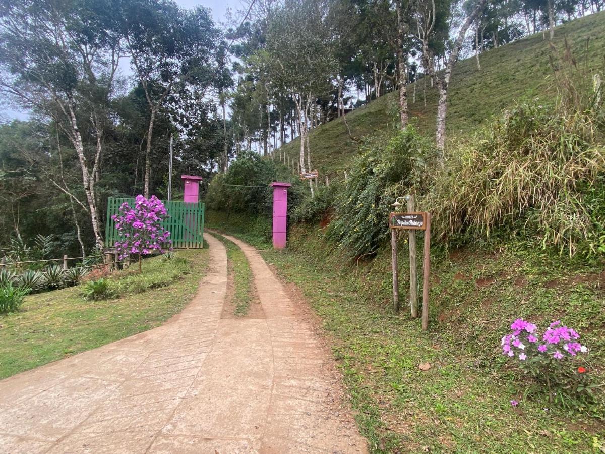 Cabana Dentro da Floresta- Chalés Perpétua Natureza - B&B