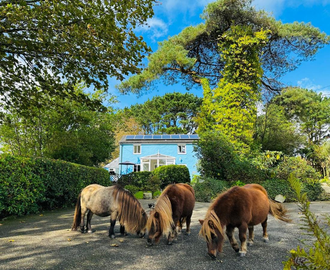 B&B St Austell - Bay View Cottage - Bed and Breakfast St Austell