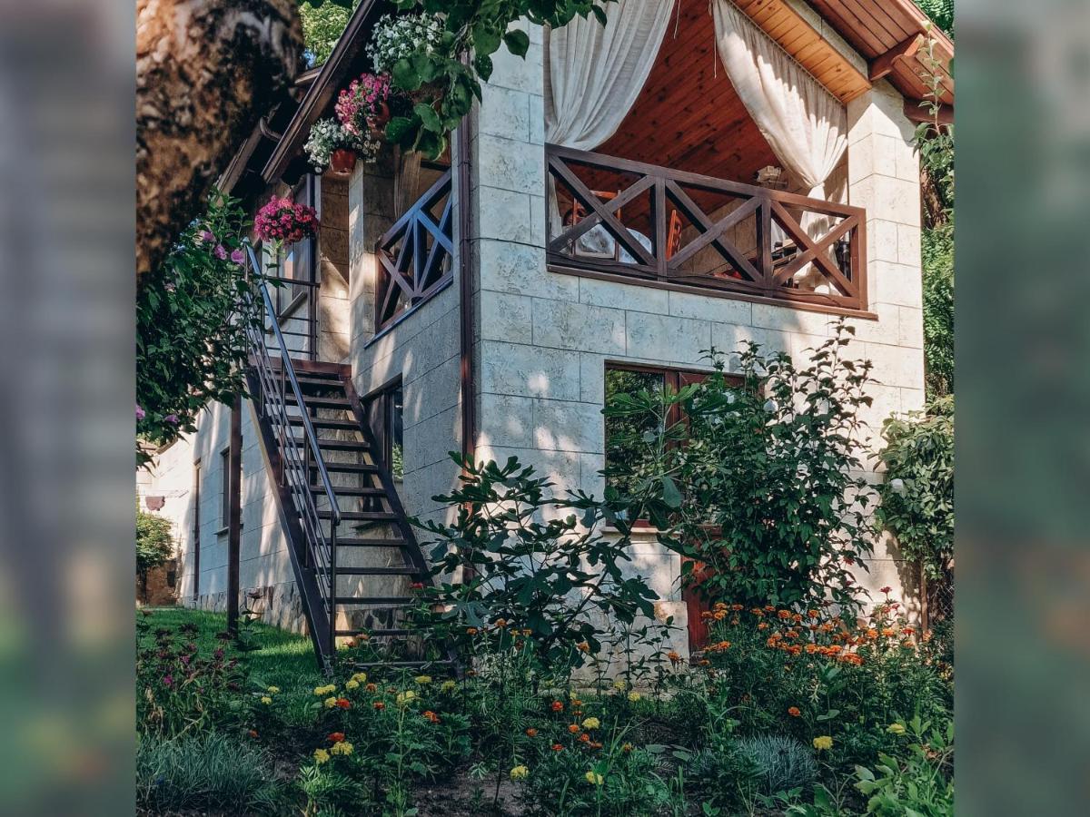 B&B Chișinău - White Valley entire Guest House next to Forest - Bed and Breakfast Chișinău