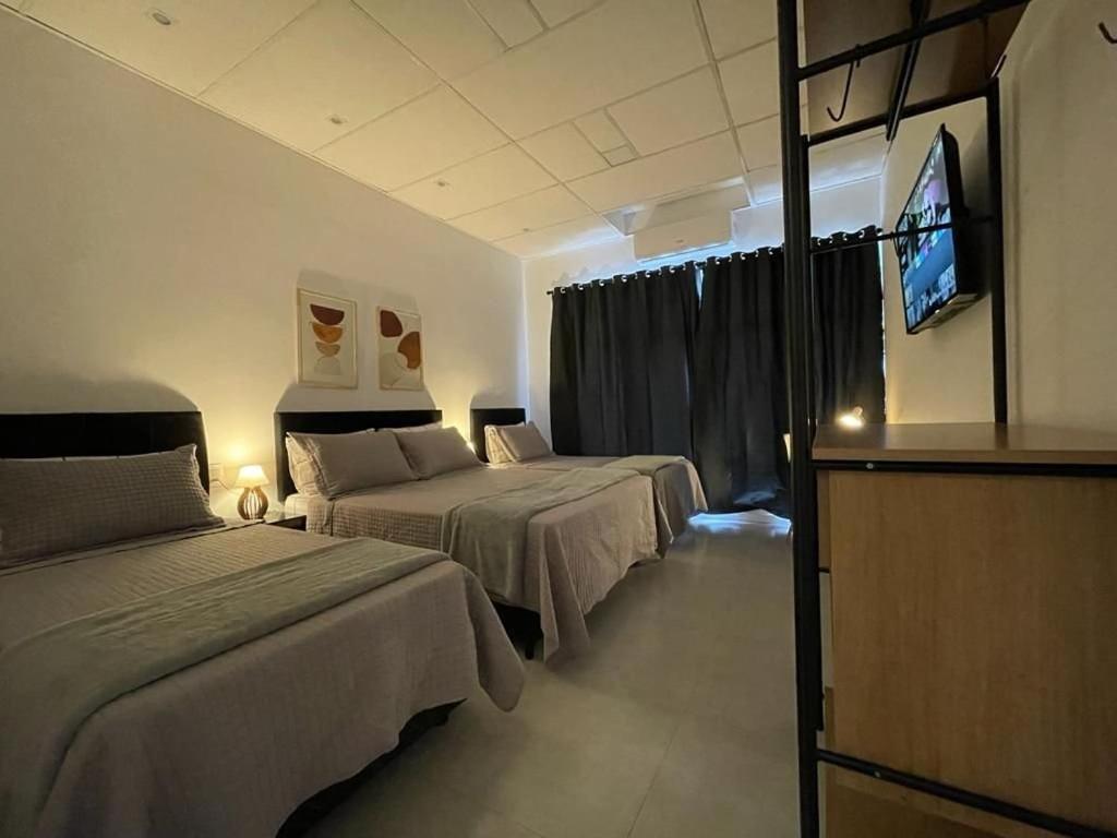 Appartement 1 Chambre