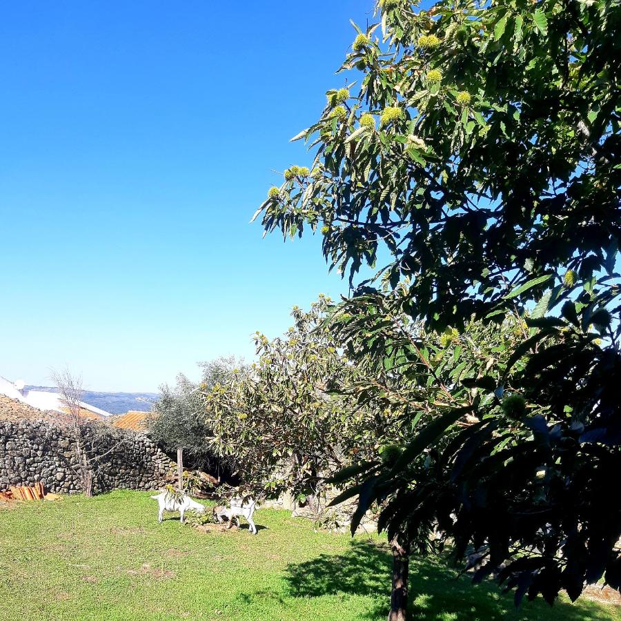 Habitación Cuádruple con baño privado externo